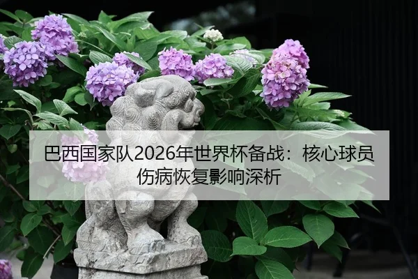 ba-xi-guo-jia-dui-nian-shi-jie-bei-bei-zhan-he-xin-qiu-yuan-shang-bing-hui-fu-ying-xiang-shen-xi-2-740.jpg